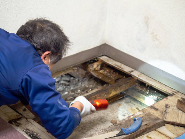 Water Damage Restoration in Leesport, PA