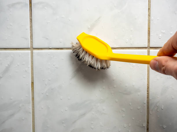 Best Fast Mold Removal  in Leesport, PA