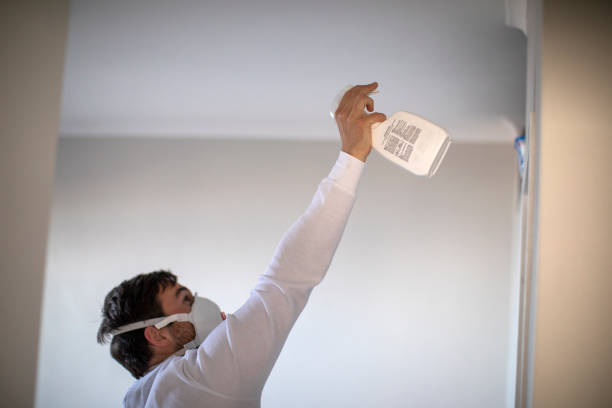 Best Best Mold Removal Companies  in Leesport, PA