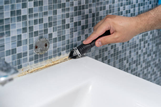 Best Office Mold Removal Services  in Leesport, PA